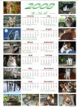 �i�R�� Lovely Cat 2008