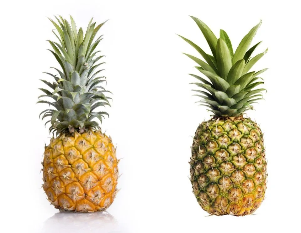 左面是菠蘿，右面是鳳梨