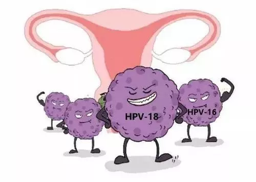 HPV病毒的分型