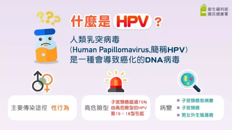 什麼是HPV病毒