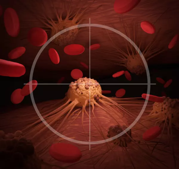 發燒可以優化CD8+效應T細胞的代謝過程