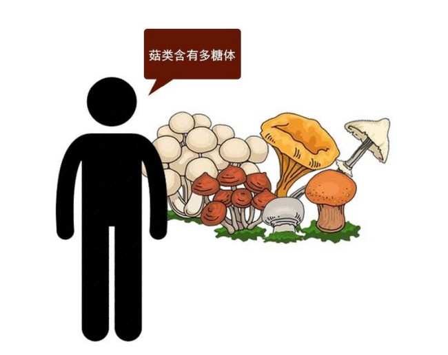 菌菇類