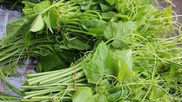 這10種蔬菜最乾淨！農藥殘留少營養素高