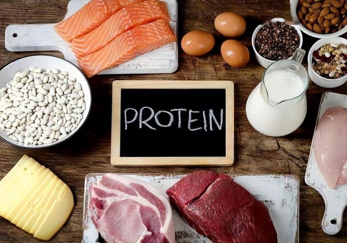 增加優質蛋白的攝入