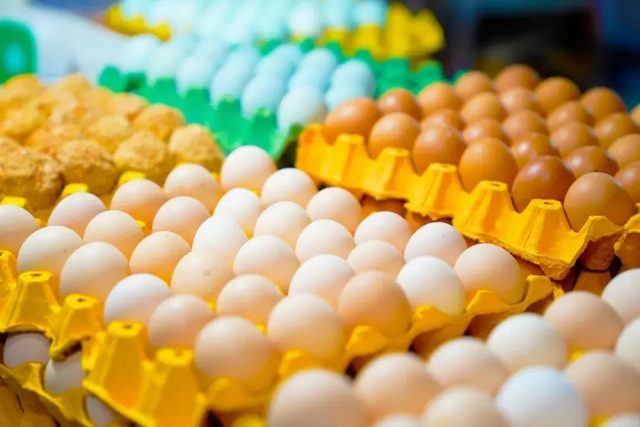 買雞蛋時，選大的好還是選小的好？