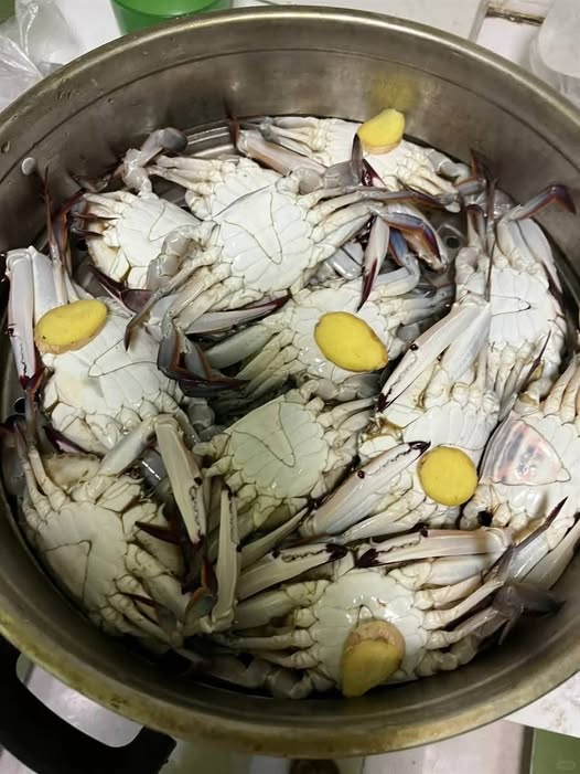 大廚教你蒸螃蟹不斷腿、不流黃的小技巧、90%的人都做錯了！