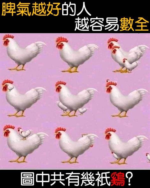 圖中共有幾隻雞？